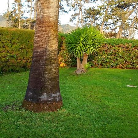 Kato Yialia Villa Sotiroulla المظهر الخارجي الصورة